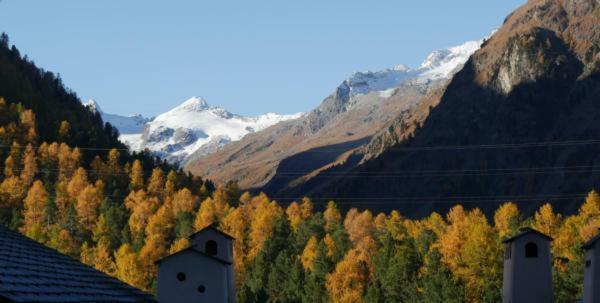 Ferienwohnung Chesa Delfin Pontresina Exterior foto